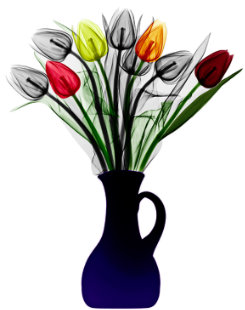 tulips-arie-van-t-riet