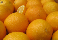 Oranges-Branko1