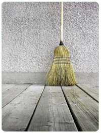 broom1.jpg