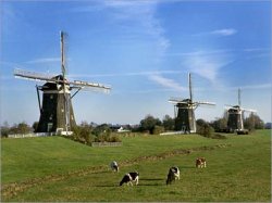 kinderdijk