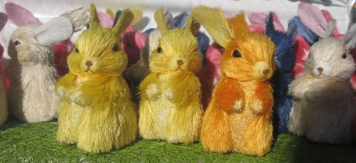 bunnies1jpg bunnies1jpg