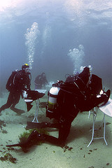 Underwater ironing