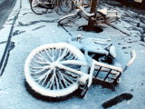 snowed-on-bicycle-branko-collin