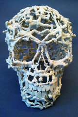 skull-smaller-dimitri-spijk