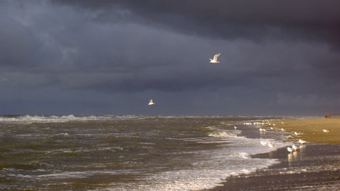 texel-beach-ralph-schulze