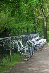 white-bikes-hoge-veluwe-ellywa