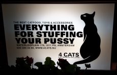 Slogan-cat